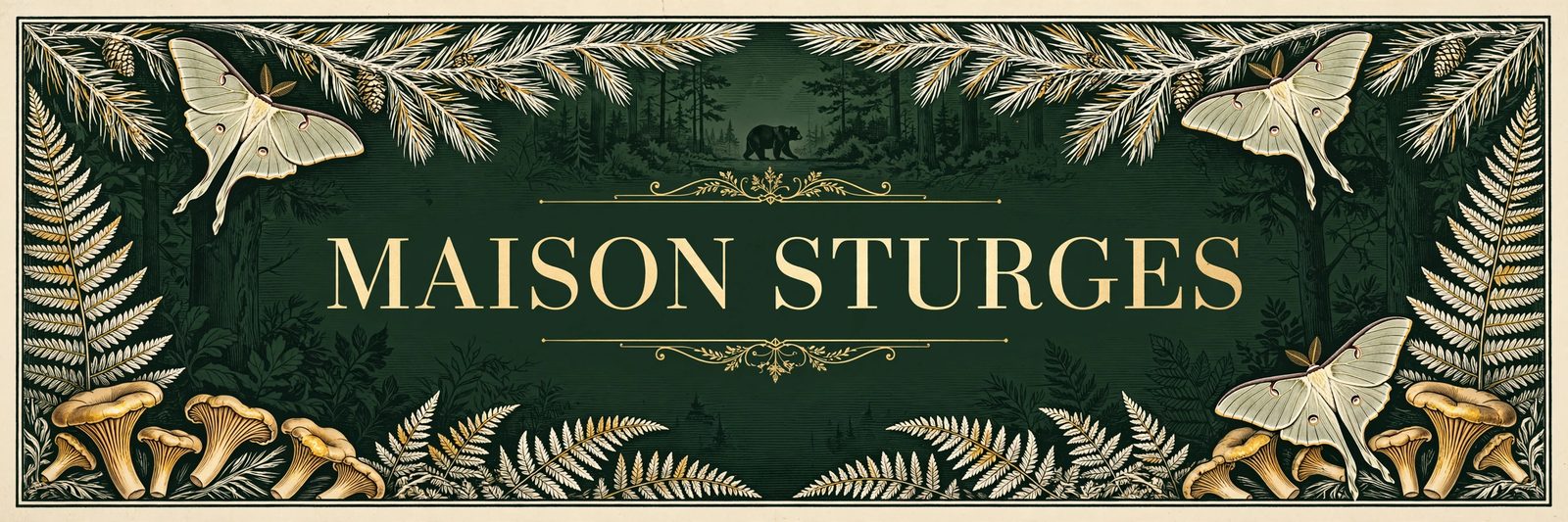Maison Sturges — wildlife photography
